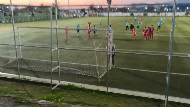Opiniones de Estadio el Pinar en San Joaquín - Campo de fútbol