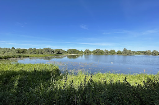 Linford Lakes Nature Reserve - Permit Only Site