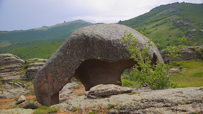 Photos of Politekh
