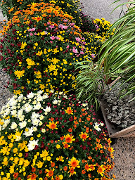 Photo n°28 de Graines de Jardins FLEURS à Robion (Fleuriste)