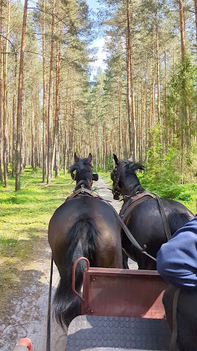 Comentarii opinii despre Zamek Bożejów