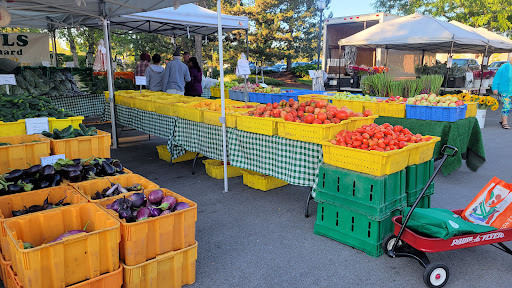 Olde Schaumburg Centre Farmers Market - Thumbnail