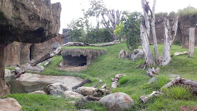 Photos of Civic Plaza Boyac&aacute;