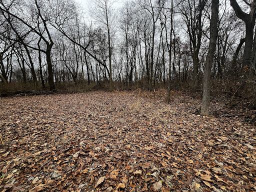 Sherman R Cook Memorial Scout Park (Cook Woods) - Thumbnail