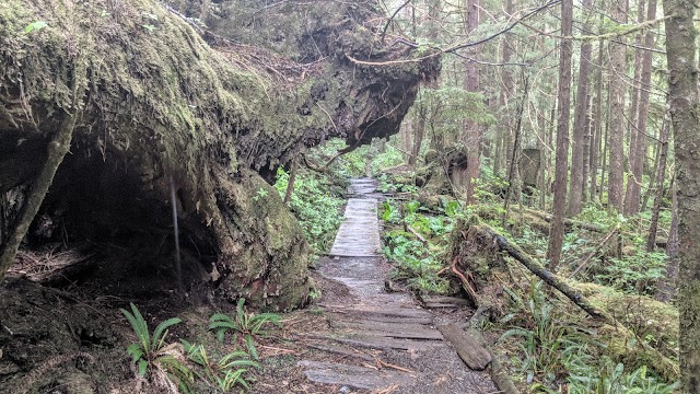 Cape Scott Provincial Park