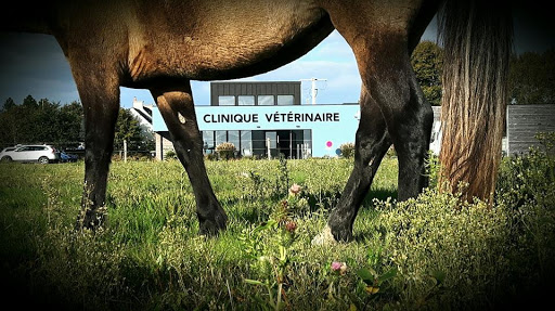 Clinique Vétérinaire de Surzur Gallery - France