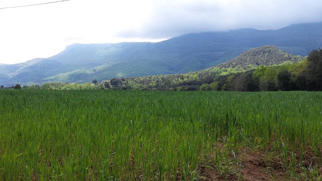 Gorg del Molí dels Murris