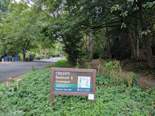 Cheasty Boulevard - Visual