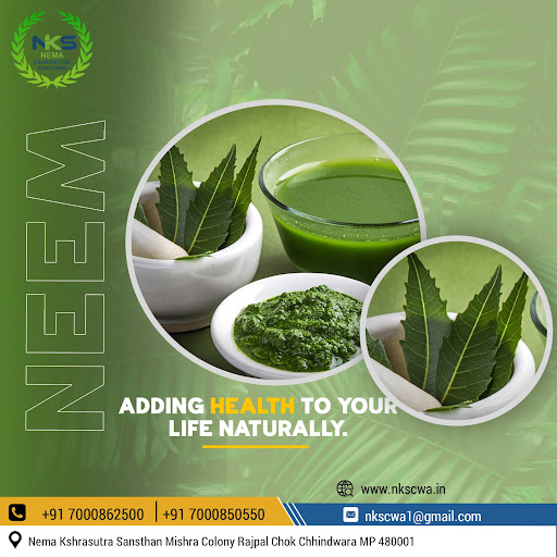 Embrace the natural power of Neem for a healthier life! post image