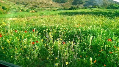 Photos of Camping L'Amazone