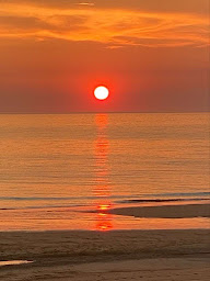 Photo n°34 de La Cabane De La gravière à Soorts-Hossegor (Bar)