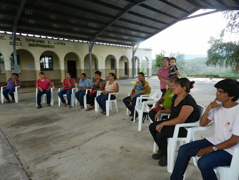 Escuela Primaria E.vieira
