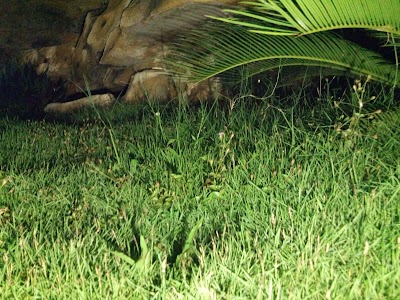 Photos of Taman Desa Bleber