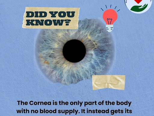 Did you know? post image