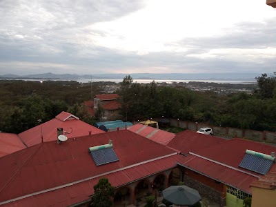 Photos of Olive Resort