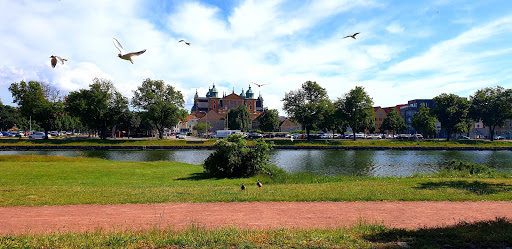 Rävspelet - Visual