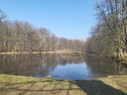 Raesfeld - Thumbnail
