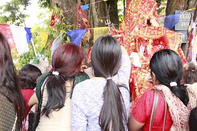 Photos of Pathibhara Temple, Ilam