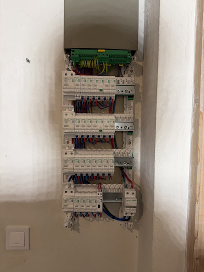 Will’Elec 77