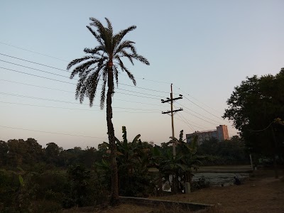 Photos of B.K Bari Central Mosque
