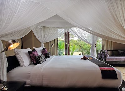 Photos of Jabunami Villa