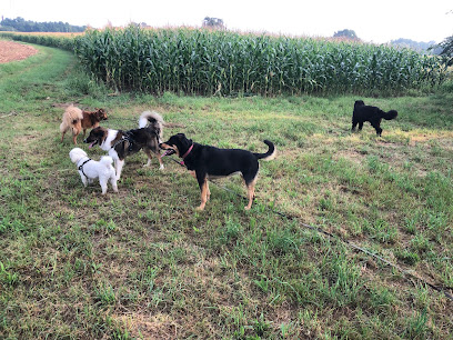 L'échappée Bêtes - Garde cocooning pour chiens et chats