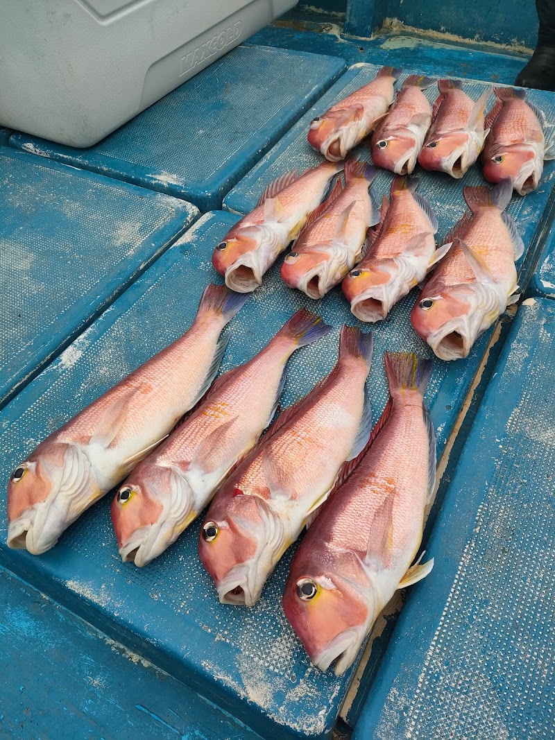 遊漁船 SEA JUNKIE シージャンキー