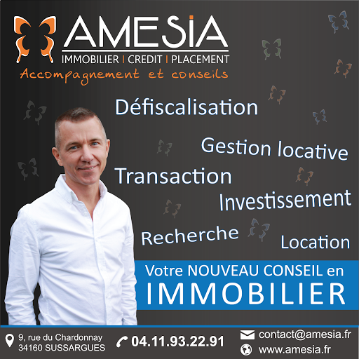 AMESIA - Christian MAISSE - Thumbnail