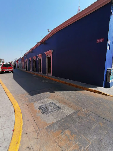 Museo José y Tomás Chávez Morado - Thumbnail