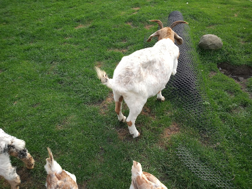 Hartleys Farm - Thumbnail