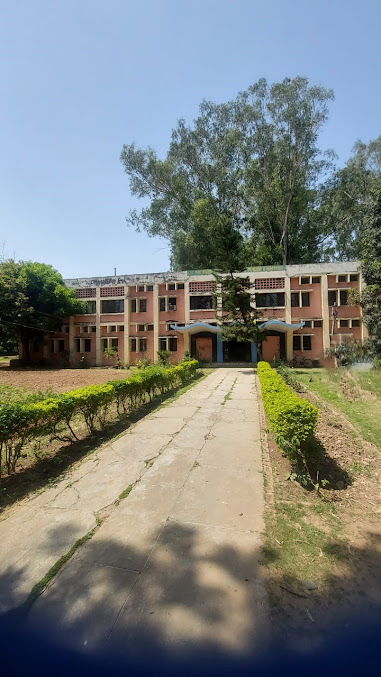 Af1qippupprdilpjsihg Wg3wbbkqegqu Sw Fahcp R=s677 K No