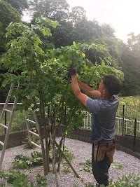 茅ヶ崎の庭師『庭清』~ niwakiyo ~