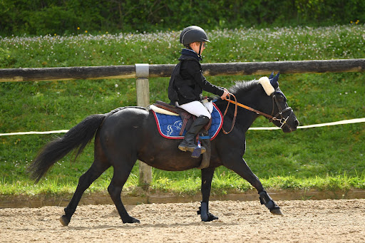Club Equestrian St Julien - Thumbnail