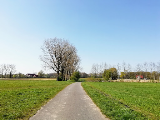 Ehrenfriedhof Gasselstiege - Thumbnail