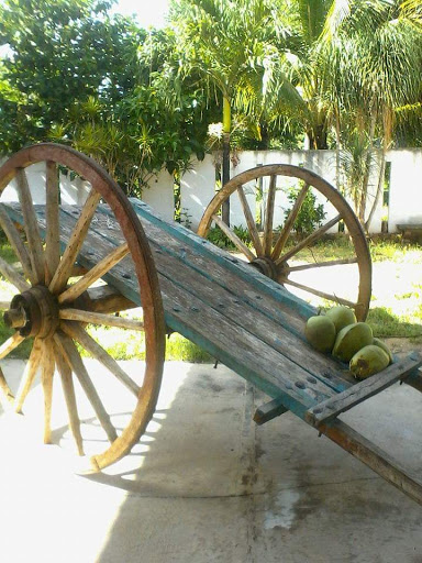 El Ramonal - Visual