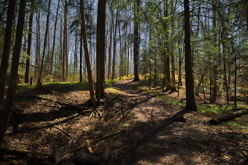 Bannockburn Conservation Area Gallery - Canada