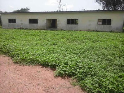 Photos of Bureau administratif de l'agriculture de diabo