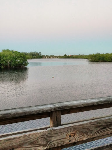 Red Fish Point - Visual