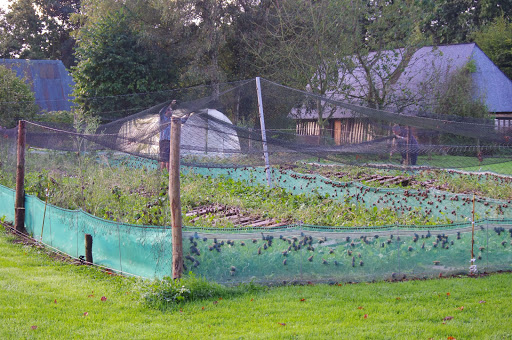 Photo de La Ferme aux Escargots à Épreville (76400)