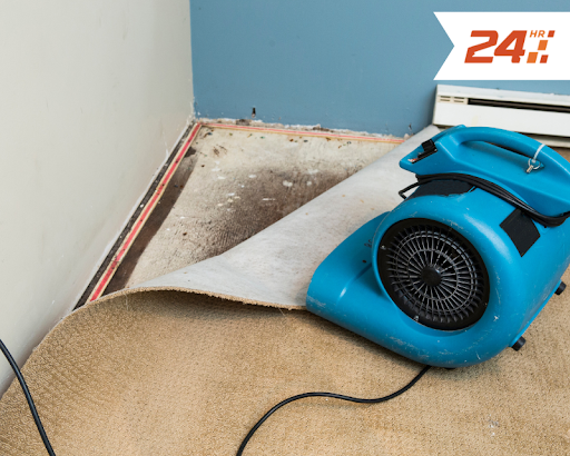 Avatar for 24 Hour Flood Pros of Jacksonville, FL