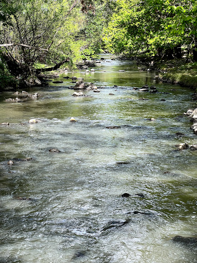 Coulson Reserve - Thumbnail