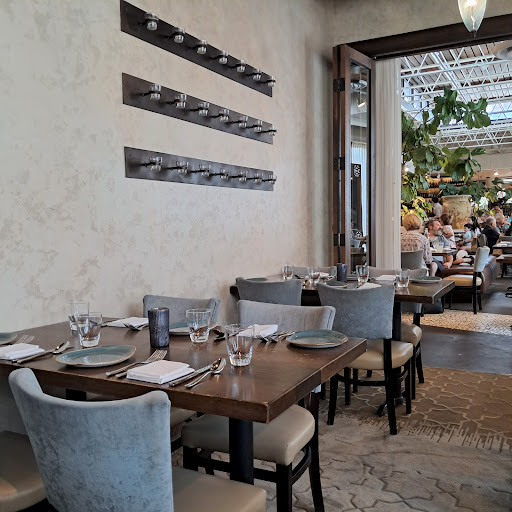 Rumi's Kitchen - Visual