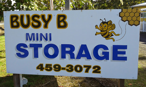 Busy B Mini Storage - Visual