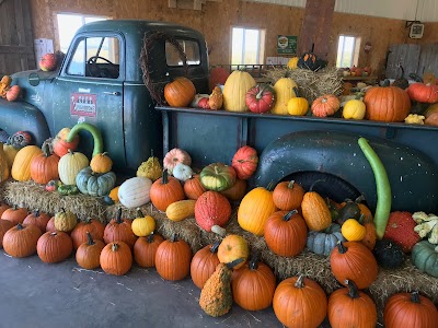 Pumpkins On Garfield Corn Maze