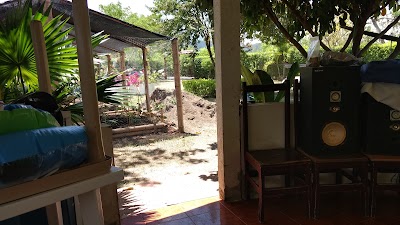 Photos of Doggy Tech - Colegio Y Hotel Canino