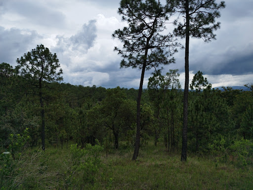 Bosques de la Cañada Tapalpa - Thumbnail