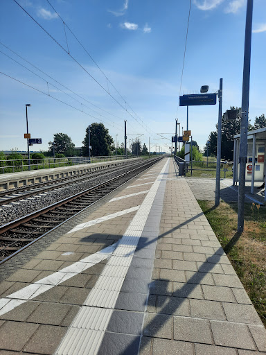 Blönsdorf - Visual