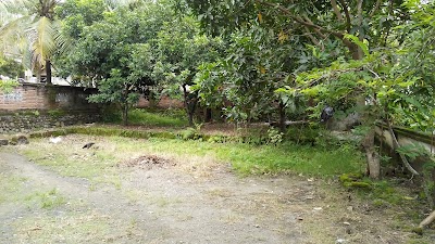 Photos of Saidah Lajut