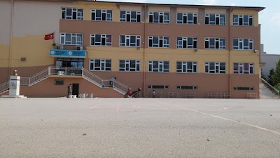 university