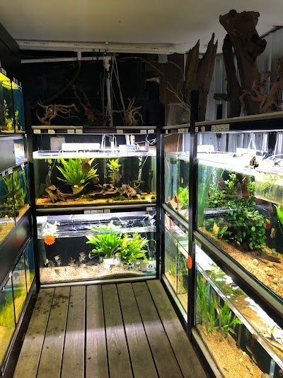 The Reef Aquarium Shop